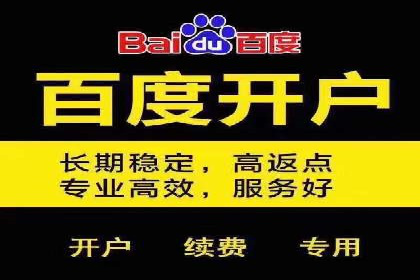 成功案例解析：SEM竞价托管的优化之路